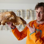 Der Archäologe Lutz Kindler zeigt im Archäologischen Forschungszentrum und Museum für die menschliche Verhaltensevolution Neuwied Monrepos (Rheinland-Pfalz) den Schädel eines Höhlenbär (Bild: dpa)