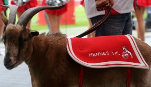 Hennes ist auch schon startklar für die neue Saison! (Foto: dpa)