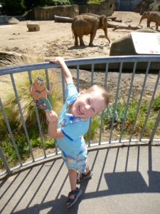 Lennart aus Bonn hat Karli mit zu den Elefanten im Kölner Zoo genommen.