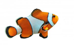 fische 3