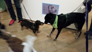 Hunde erleben die Welt vor allem mit der Nase. (Foto: Leister)