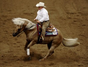 Häufig halten die Reiter beim Westernreiten die Zügel mit einer Hand. (Foto: dpa)