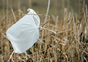 Ob Plastik gut oder schlecht ist, das kann man nicht so leicht sagen. (Foto: dpa)