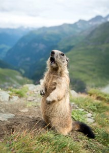 Großglockner Hochalpenstraße