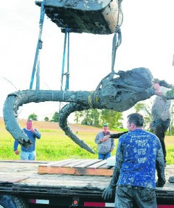 In den USA wurden Mammutknochen gefunden. (Foto: AP)