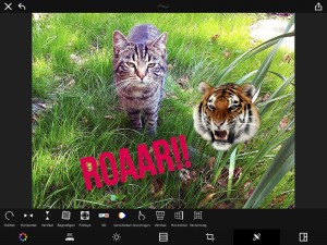 Peach_2_Für_den_Titel