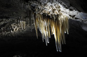 Die Höhle ist sehr alt. (Foto: dpa)