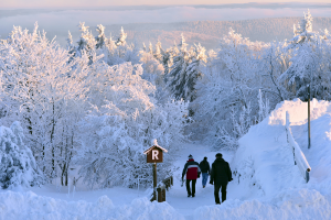 Das "R" auf dem Schild zeigt den Weg. (Foto: dpa)