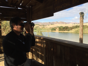 Noam Weiss hält Ausschau nach Vögelchen. 