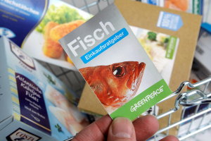 Der Fisch-Ratgeber (Foto: dpa)