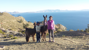 Neben Eseln gibt es auch Lamas auf der Insel. (Foto: dpa)