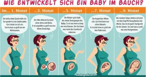 So wächst das Baby im Bauch. (Grafik: dpa)