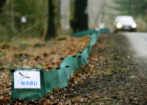 Krötenzäune am Straßenrand (Foto: dpa)