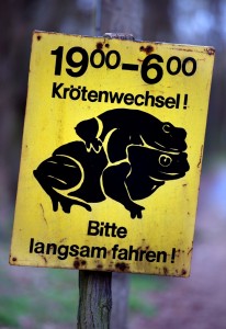 Sogar ein extra Verkehrsschild gibt es. (Foto: dpa)