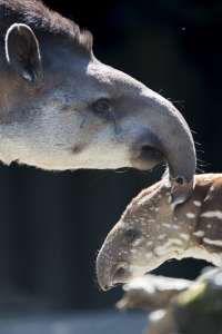 Mama und Kind (Foto: dpa)