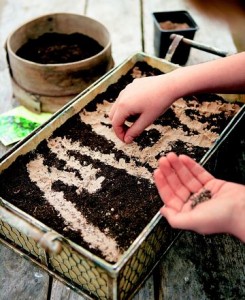 Du kannst zum Beispiel Salatsamen streuen. (Foto: Kosmos Verlag)