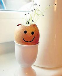 Deinem Kresseei werden nach einer Weile grüne Haare wachsen. (Foto: Krsteski)