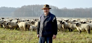 Der Schäfer und seine Herde (Foto: dpa)