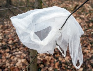 So eine Plastiktüte gammelt mindestens 20 Jahre lang in der Umwelt rum. (Foto: dpa)