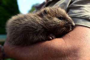 So süß sind Baby, wenn sie drei Monate alt sind. (Foto: dpa)