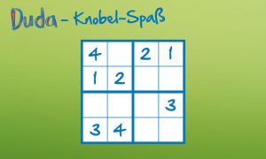 Duda-Raetsel-1000x600px-4