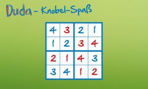 Duda-Raetsel-Loesungen-1000x600px-4