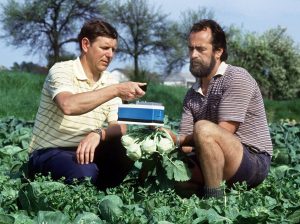 Zwei Männer messen 1986, ob Kohlrabis radioaktiv sind. (Foto: dpa)