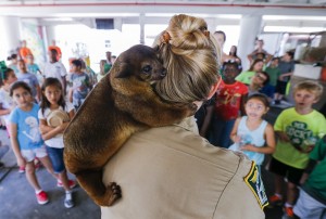Wickelbären können super klettern. (Foto: dpa)