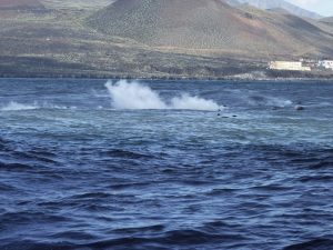 Über Wasser hat der Ausbruch auch Folgen. (Foto: dpa)