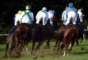 Welches Pferd ist das Schnellste? (Foto: dpa)