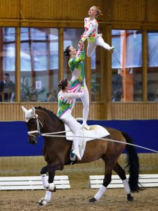Wow, das sieht gefährlich aus! Jonna (ganz oben) hat bei ihren Tricks aber gar keine Angst. (Foto: 