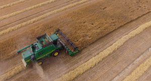 So viel Getreide gibt es in diesem Jahr gar nicht zu holen. (Foto: dpa)