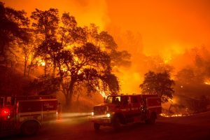 Auch im Westen der USA fangen die Wälder oft Feuer. (Foto: dpa)