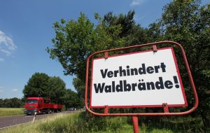 Keinen Müll im Wald liegen lassen - das hilft zum Beispiel schon, Waldbrände zu verhindern. (Foto: dpa)