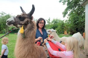 Fangen, striegeln, fertig machen - einiges muss getan werden, bevor es losgehen kann. (Foto: Birkenbach)