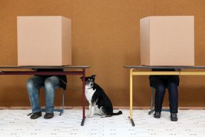 Wahlen in einer Demokratie sind geheim - deswegen machen Bürger ihr Kreuzchen hinter einem solchen Sichtschutz. (Foto: dpa)