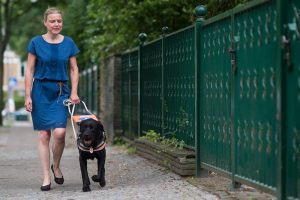 Blindenhund Zan zeigt seiner Besitzerin den Weg. (Foto: dpa)