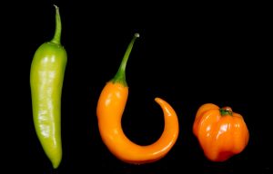 Und diese drei sehen unterschiedlich aus - aber sie sind alle Chilies. (Foto: dpa)