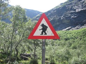 Achtung Trolle kreuzen! (Foto: Sebastian Dietrich, gemeinfrei)