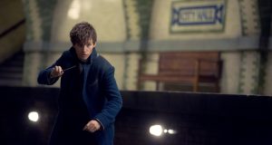 Newt Scamander wird von Eddie Redmayne gespielt. (Foto: dpa)