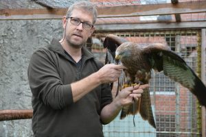 Perfekt zum Segeln: Ihre Flügel sind groß. (Foto: dpa)
