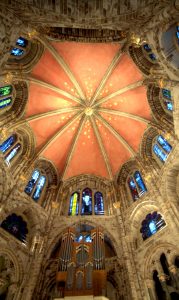 Hier siehst du die Orgel der Kirche St. Gereon. (Foto: Stefan Worring)