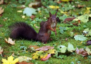 Auch kleine Tiere und Vögel leben hier. (Foto: dpa)
