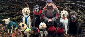 Dogwalkerin Nora Gohr zwischen zehn Hunden. (Foto: dpa)