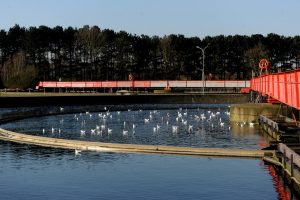 Das Wasser im Nachklärbecken sieht fast schon wieder sauber aus. Hier sinkt der Schlamm zu Boden. (Foto: Rakoczy)
