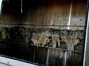 Im Rechen bleibt alles möglich hängen, was die Leute in die Toilette werfen. (Bild: Rakoczy)