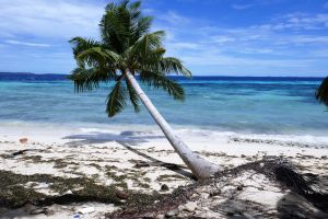 So wunderschön sind die Malediven. Leider leidet die Inselgruppe unter dem Klimawandel. (Foto: Peter Pauls)