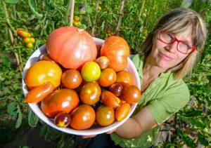 Benedicta von Branca zeigt auf ihrem Hof am Weinberg in Bornow unweit von Beeskow eine kleine Auswahl ihrer verschiedenen Tomatensorten. (Foto: dpa)