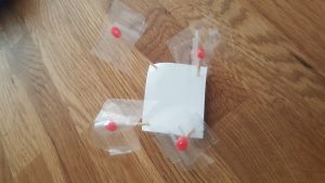 So sieht der Wasserläufer aus, den du selbst bauen kannst. (Foto: Krsteski)