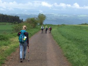 Auf dem Jakobsweg lernt man unterschiedliche Landschaften und auch Menschen kennen. (Foto: Medi)